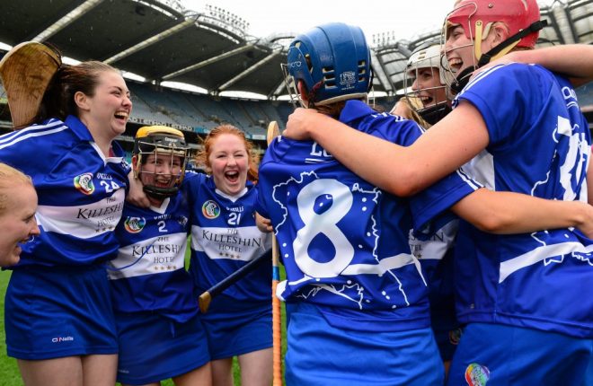 Laois won the All-Ireland premier camogie championship this weekend.